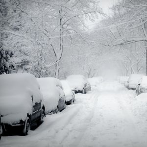 Street and parked cars covered with snow